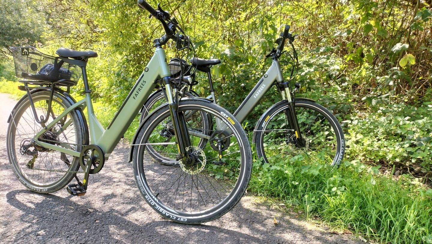 Fafrees F28 PRO Best Electric Bikes UK Under 1000£ | 14.5Ah | 50miles | 15.5Mph - ThymeGreen/Bronze - SparkoBikes